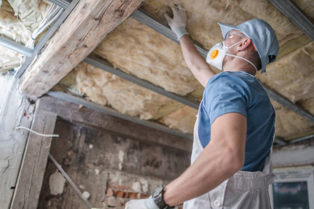 Best Insulation Installation Services in Tennille, GA